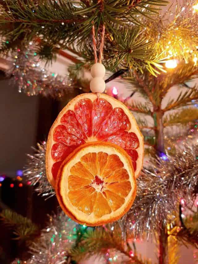 cropped-Dehydrated-Orange-Ornament-in-tree-scaled-1.jpg